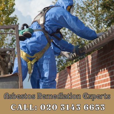 Asbestos Remediation Experts Deptford