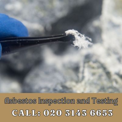 Comprehensive Asbestos Inspection and Testing Services in Deptford